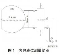 高精度投入式液位变送器在带压容器中应用案例分析