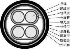 用于控制电磁流量计使用中低噪音的信号电缆结构设计说明